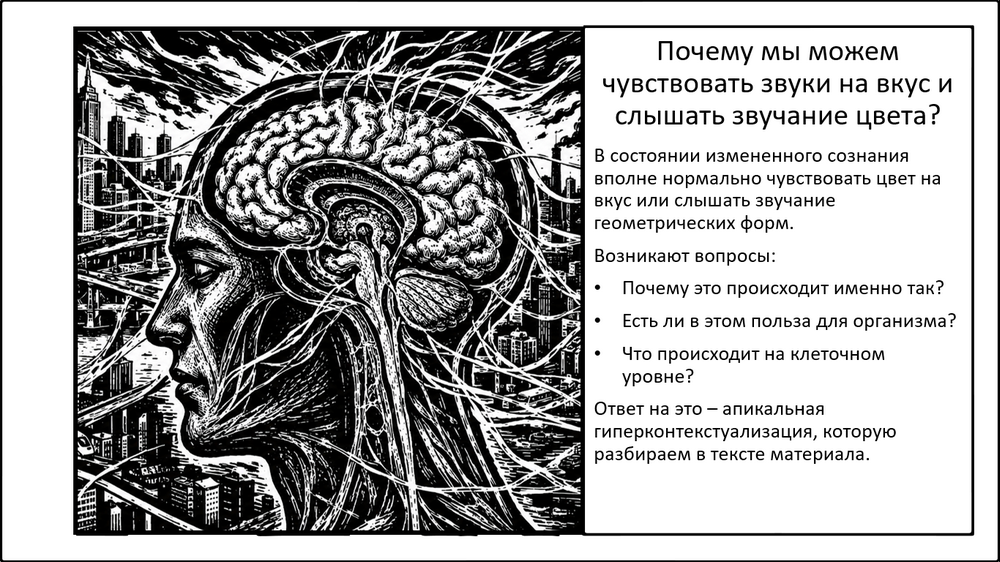 Апикальная гиперконтекстуализация. Почему мы можем чувствовать звуки на вкус и слышать звучание цвета? - 1